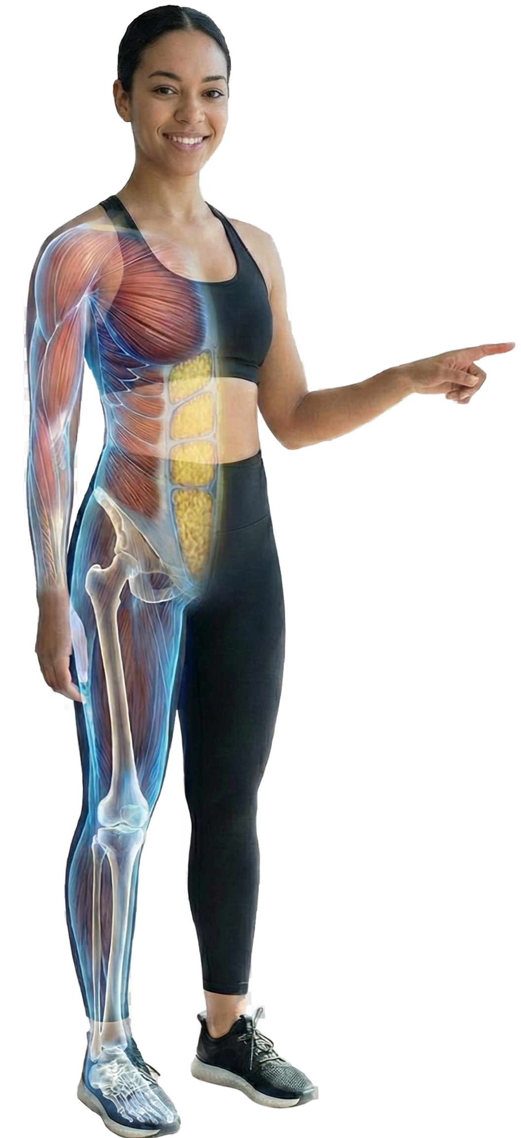Body composition visualization